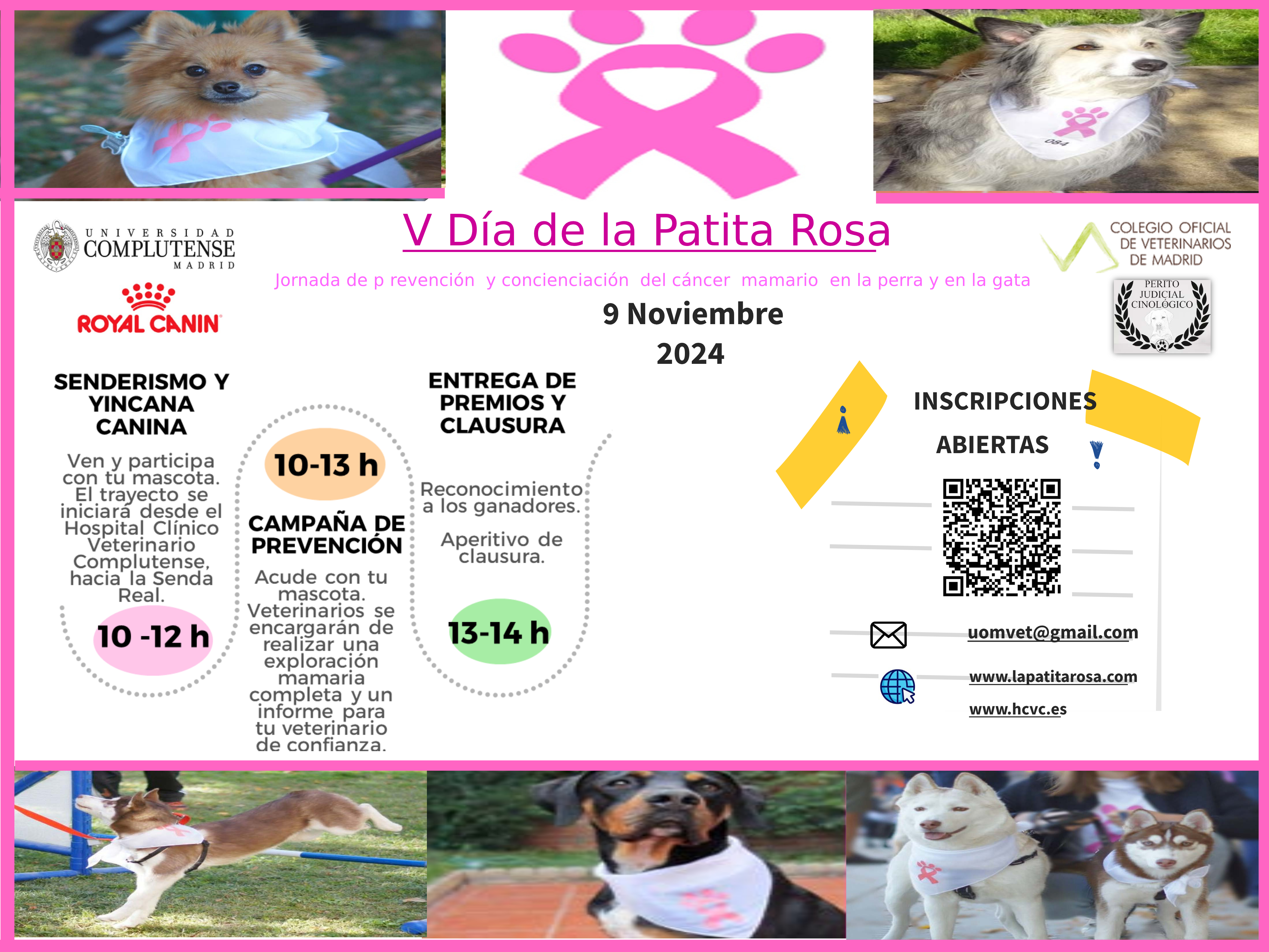 V JORNADA DE LA PATITA ROSA